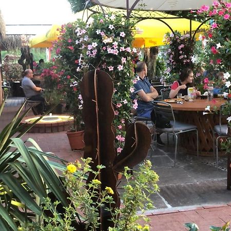 Zys Hotel Wettingen Eksteriør billede
